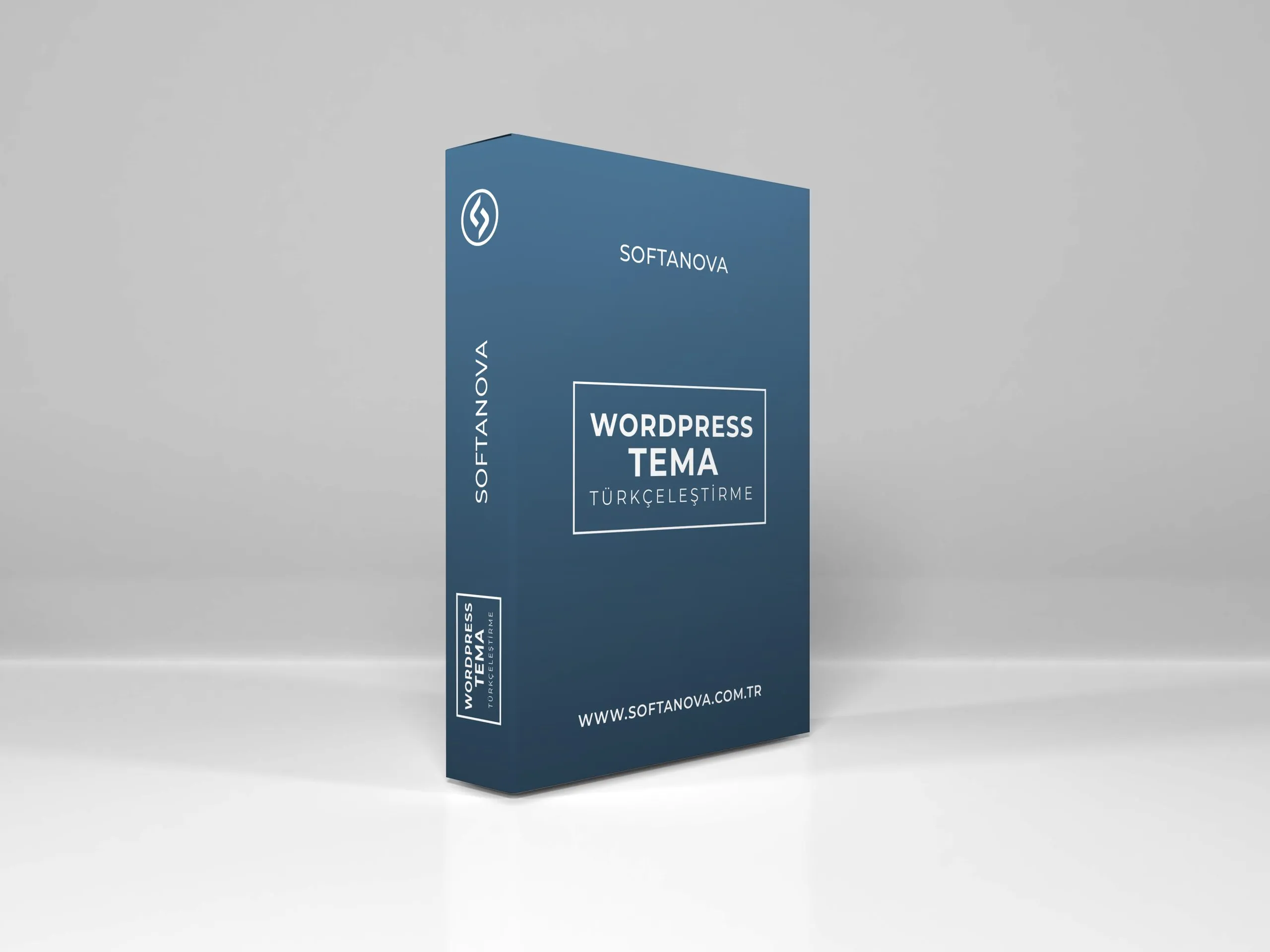 WordPress Tema Türkçeleştirme